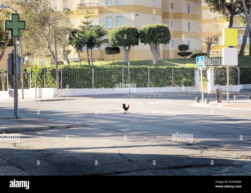 Spain - chicken road oficial